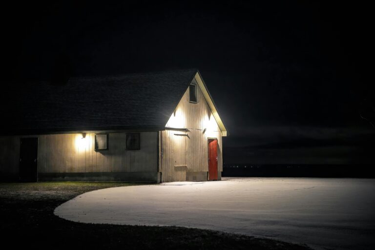 Best outdoor flood light for home security illuminating a driveway and front yard at night